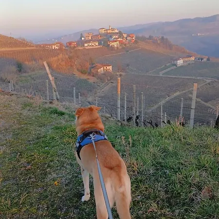 Beautiful Private House Among The Moscato Vineyards * 카모